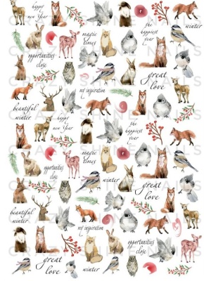 2bdba897d5044467c149f0a6e7c0b3db