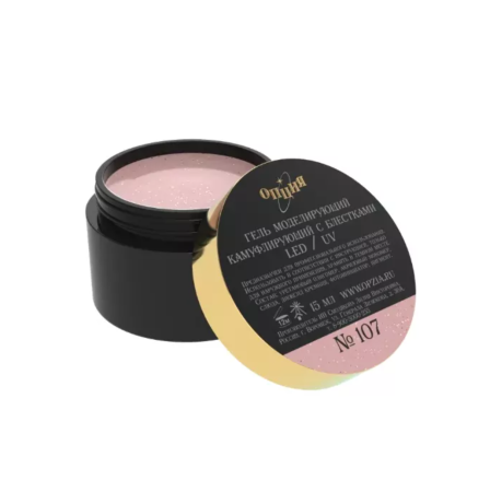 Снимок экрана 2025-01-07 172027