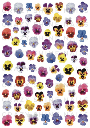 1010 mini Анютины Глазки