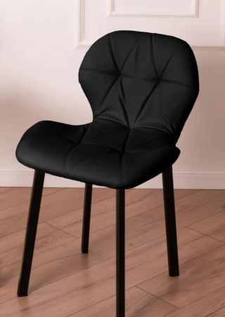 ракушка черная