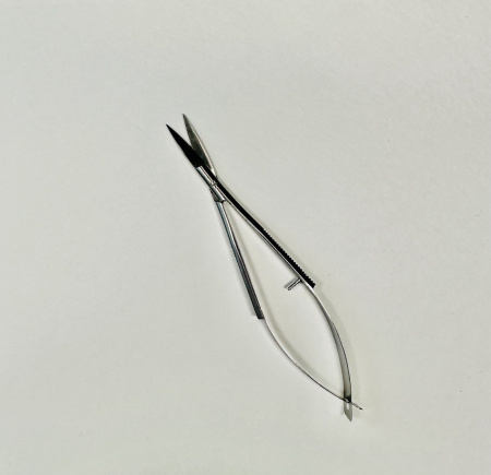 photo_2023-05-11_17-00-13