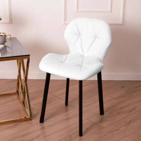 ракушка белая